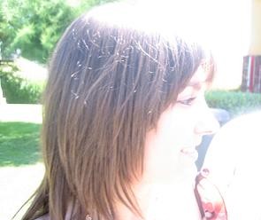 20080311222754-img-3938.jpg