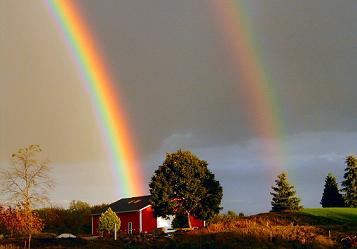 20080327201354-rainbow.jpg