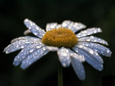 20080628164226-naturaleza2.jpg