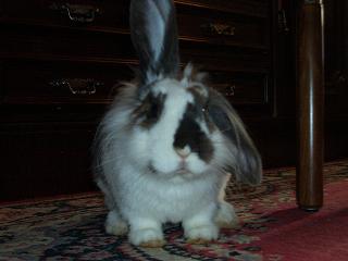 20080715205325-cimg0766.jpg