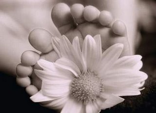 20080720184651-flor.jpg