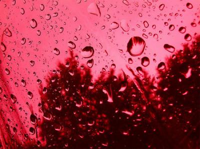 20080903023115-lluvia-de-sangre.jpg