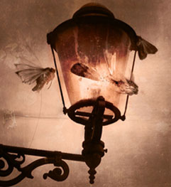 20081002193040-to-the-light.jpg